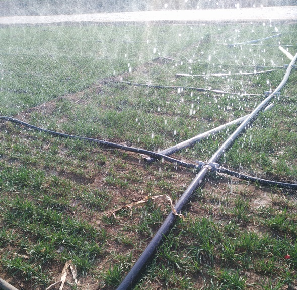 智能灌溉用PVC管有哪些优点