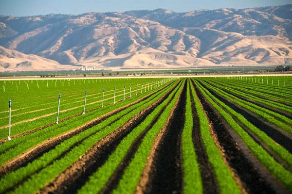 解析农业自动化灌溉设备